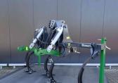 Hofstede SHERP Voorzet cultivator woeler hydraulische hef groenbemester